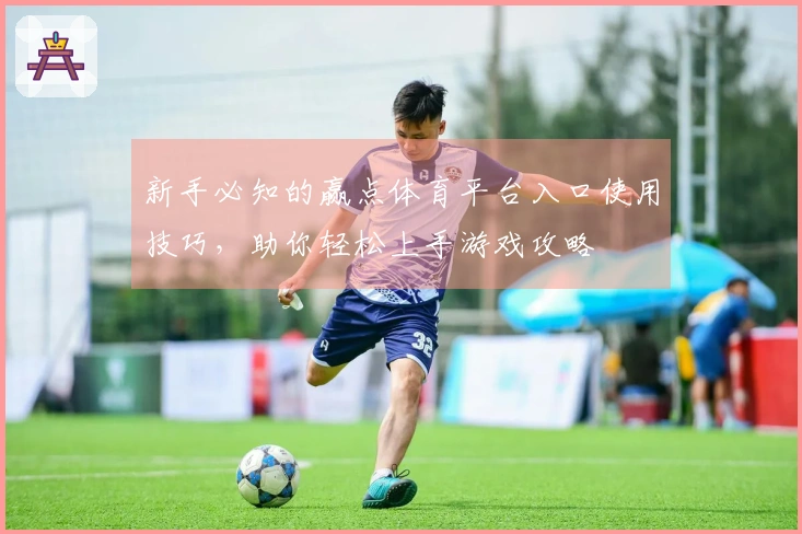 新手必知的赢点体育平台入口使用技巧，助你轻松上手游戏攻略