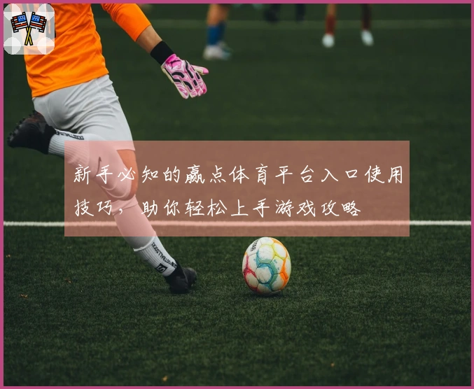 新手必知的赢点体育平台入口使用技巧，助你轻松上手游戏攻略