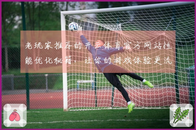 老玩家推荐的开云体育官方网站性能优化秘籍，让你的游戏体验更流畅